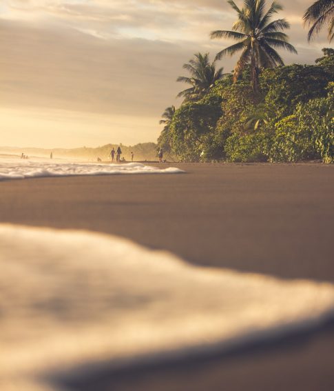 people on beach during daytime